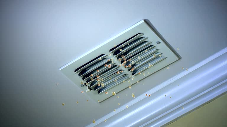 Professional Airduct Cleaning in AR