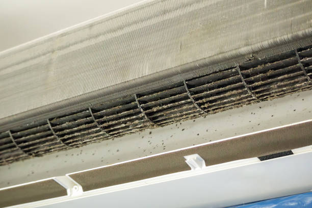 Best Air Duct Cleaning Near Me  in Brookland, AR
